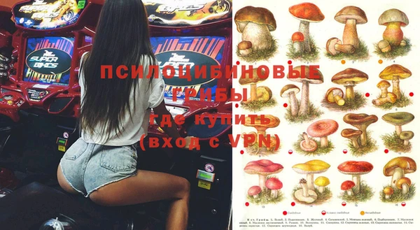 тгк Абдулино
