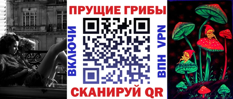 закладки  Таштагол  блэк спрут зеркало  Псилоцибиновые грибы Magic Shrooms 